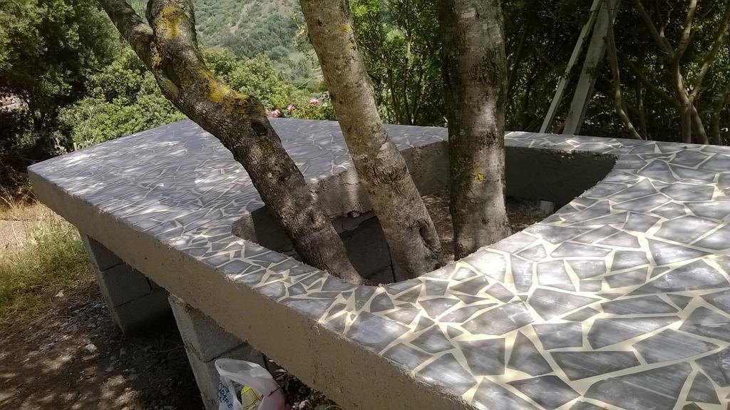 Hotel Valle Del Cedrino Galtelli Ngoại thất bức ảnh